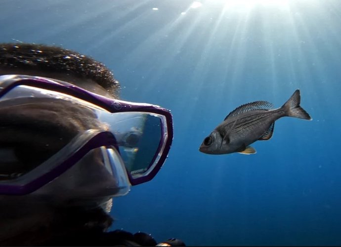 Maëlan Tomasek, autor do estudo, com um "voluntário" no experimento do Mar Mediterrâneo.