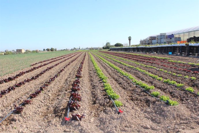 Horta de València