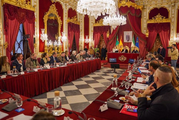 Pleno del mes de febrero en la Diputación de Cádiz.
