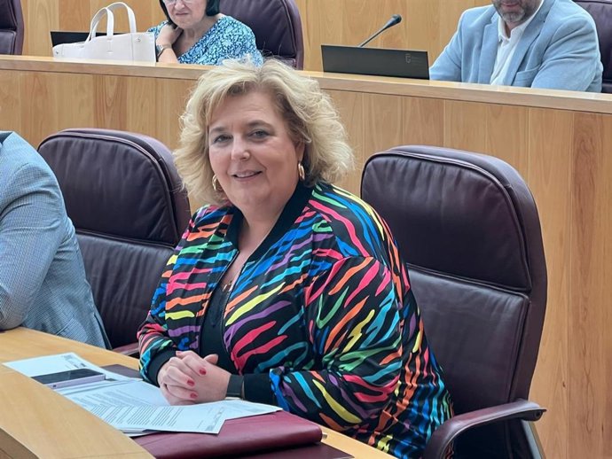 Archivo - La portavoz del Grupo Socialista de la Diputación, Fátima Gómez. Archivo.