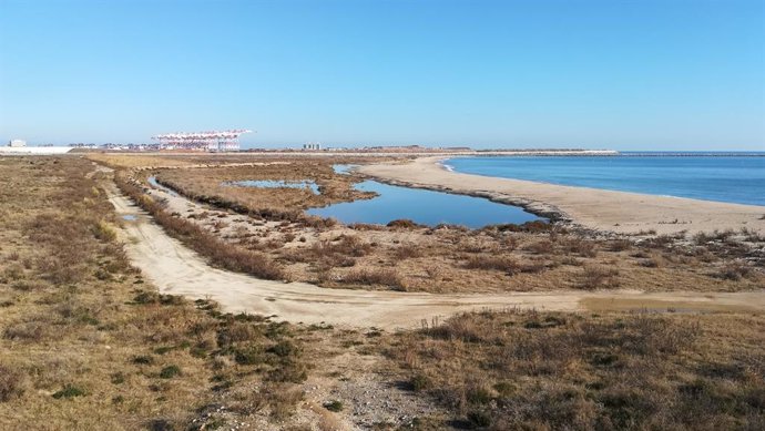 Imatge del delta del Llobregat (Barcelona)