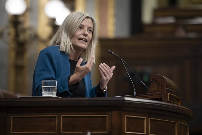 Begoña Nasarre, diputada del PSOE en el Congreso de los Diputados