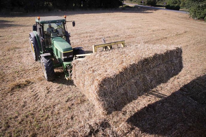 Archivo - Un tractor durante la recogida de trigo en la parroquia de Calvo, a 31 de julio de 2023, en Abadin, Lugo, Galicia (España). 
