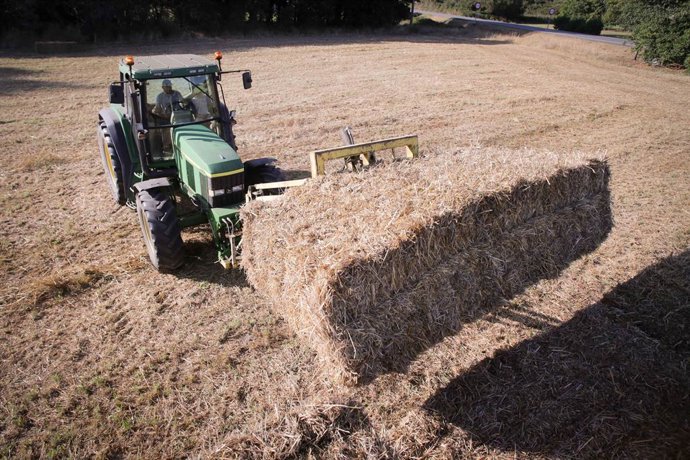 Archivo - Un tractor durante la recogida de trigo en la parroquia de Calvo, a 31 de julio de 2023, en Abadin, Lugo, Galicia (España). El sector ganadero prevé un aumento de los costes de piensos y forrajes los próximos meses, debido a que España enfrenta 