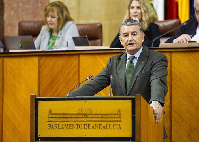 El consejero de la Presidencia, Interior, Diálogo Social y Simplificación Administrativa, Antonio Sanz, comparece en el Pleno del Parlamento andaluz.