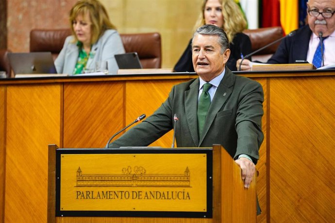 El consejero de la Presidencia, Interior, Diálogo Social y Simplificación Administrativa, Antonio Sanz, comparece en el Pleno del Parlamento andaluz.