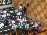 Varias asociaciones trasladan sus críticas al presupuesto de 2025 y piden mejoras en Zaragoza