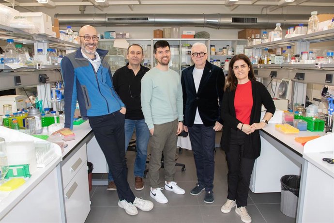 Luis Martínez-Gil, Manuel Sanchez del Pi, Brayan Grau, Ismael Mingarro i M. Jesús García-Murria.