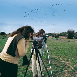 Andalucía se posiciona como destino de turismo ornitológico y de naturaleza en FIO y Navartur 2025.