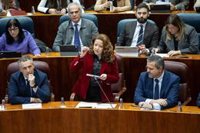 Matute reafirma el rechazo al Plan de Salud Mental y Más Madrid le acusa de "partidista" por oposición a Mónica García