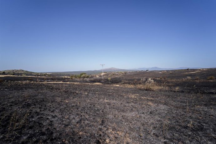 Archivo - Arquivo - Área afetada pelo incêndio nos municípios de El Molar e Pedrezuela, 6 de agosto de 2024, em El Molar, Madri (Espanha). Nove brigadas de incêndio, juntamente com brigadas e agentes florestais da Comunidade de Madri, estão trabalhando na