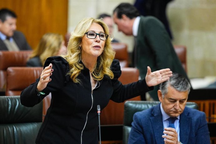 La consejera de Economía, Carolina España, este jueves en el Pleno del Parlamento.