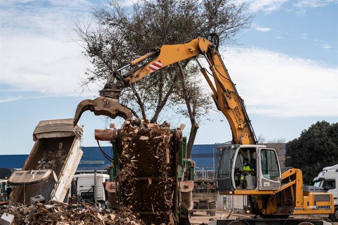 Archivo - Máquinas excavadoras en la zona afectada por la dana. 