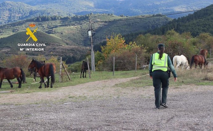 Agente de la Guardia Civil en las inmediaciones de la finca en la que ocurrieron los hechos.