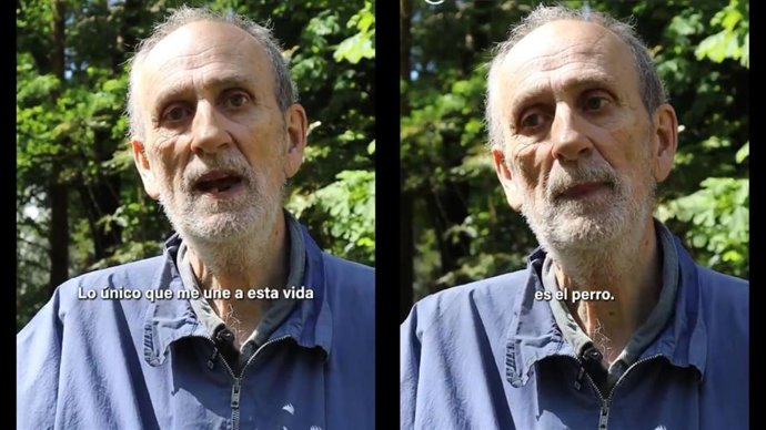 PACMA pide que las residencias de ancianos permitan convivir con animales: "No deberían separarlos en sus últimos años".