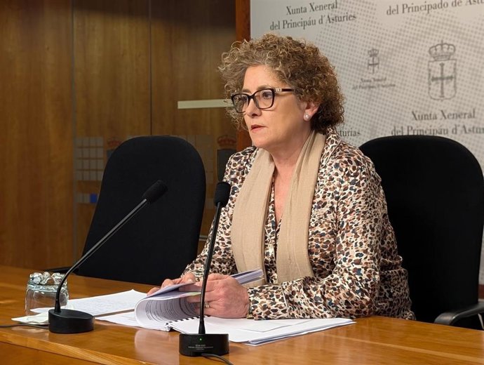 La diputada del PP, Gloria García, en rueda de prensa.