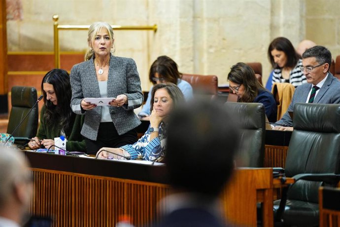 La consejera de Cultura y Deporte de la Junta, Patricia del Pozo, en la sesión plenaria del 20 de febrero de 2024.