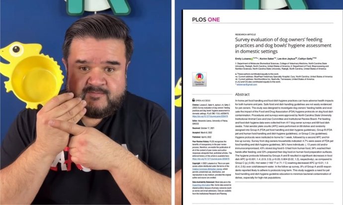 O erro que muitos donos de animais cometem com a tigela de comida de seus animais: com que frequência lavá-la, diz especialista