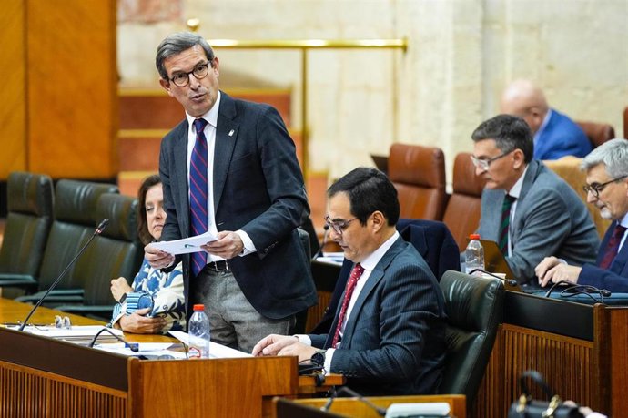El consejero de Industria, Energía y Minas, Jorge Paradela, en pleno parlamentario a fecha de 20 de febrero de 2025.