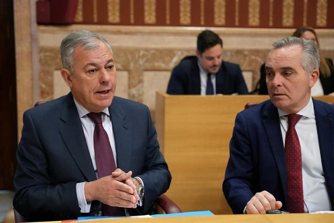 José Luis Sanz en el pleno de este jueves