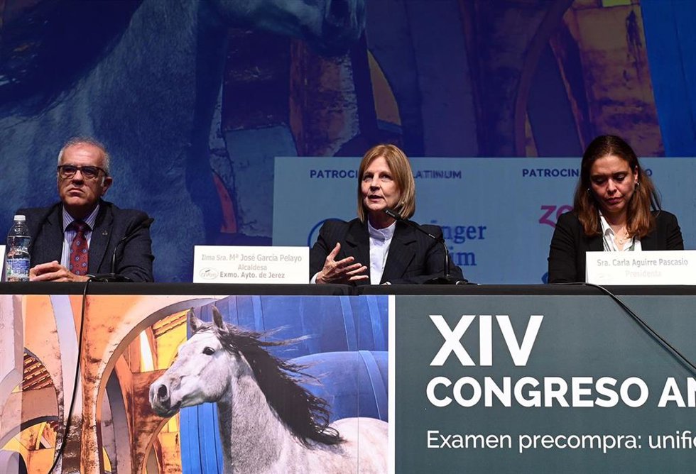 García-Pelayo en la inauguración del XIV Congreso Anual de la Asociación de Veterinarios Especialistas en Équidos de España.