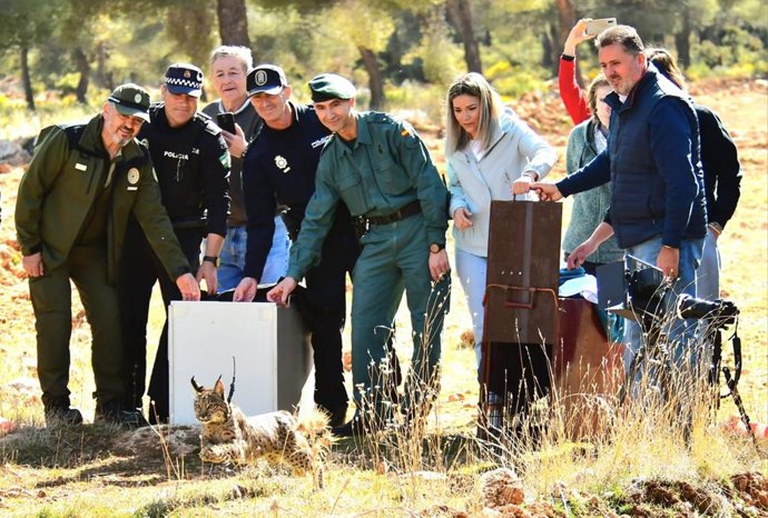 Nueva liberación de linces en el Área de Sierra Arana