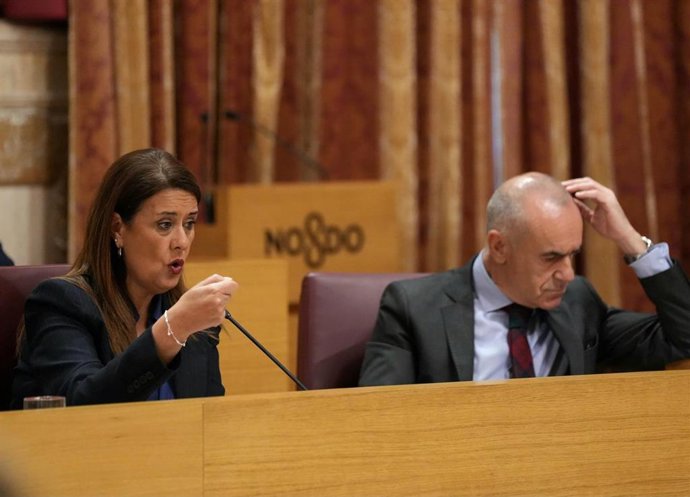 Bancada del PSOE durante el pleno 
