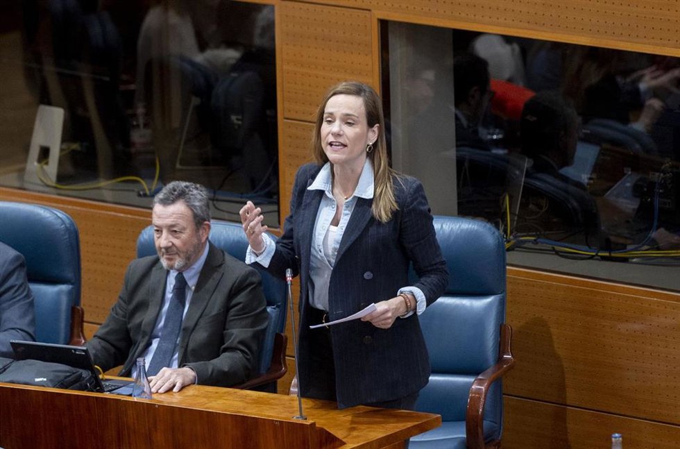 La portavoz de Vox en la Asamblea de Madrid, Isabel Pérez Moñino-Aranda, interviene durante un pleno en la Asamblea de Madrid, a 20 de febrero de 2025, en Madrid (España)