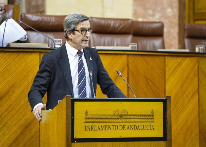 Imagen de Archivo del consejero de Industria, Energía y Minas, Jorge Pardela, en el Parlamento andaluz.