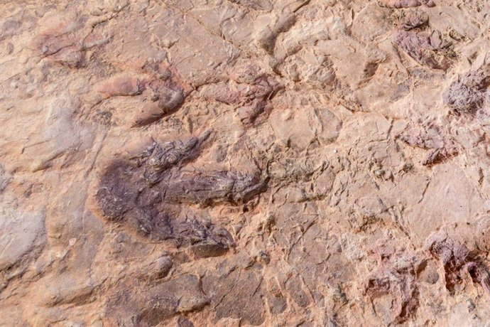 Jaciment de petjades de dinosaures de Corcolilla, Alpont