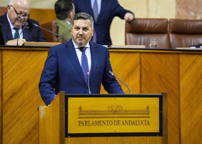 El diputado del Grupo Popular Alejandro Romero, este jueves en el Pleno del Parlamento en su defensa de la PNL.