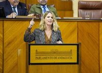 El Parlamento andaluz pide a iniciativa del PP-A medidas del Gobierno para ayuntamientos con "dificultades" económicas