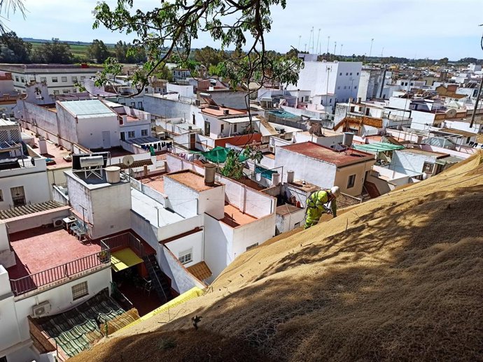 Trabajos de acondicionamiento en la ladera del Cerro de San Juan