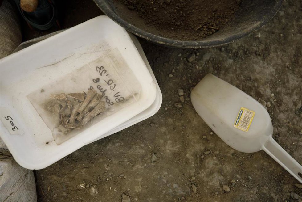Archivo - Excavación en una fosa común