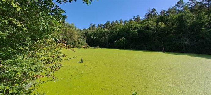 El embalse generado por el dique.