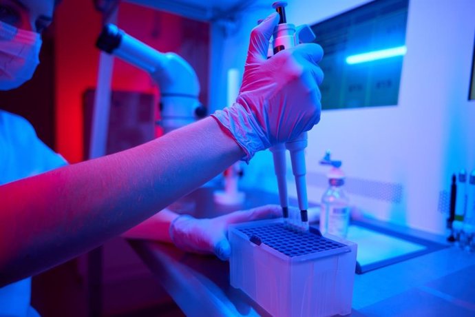 Archivo - Female laboratory assistant in the process of preparing the biomaterial for freezing, a special box for test tubes is used