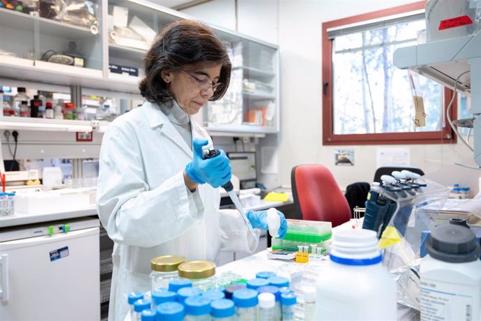 La investigadora Dolores Pérez-Sala en su laboratorio.