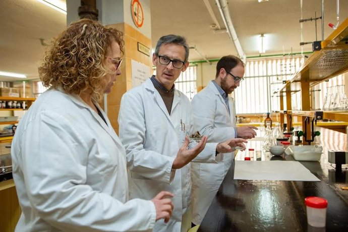 Investigadores de la UA reutilizan residuos de posidonia oceánica para "recuperar el sabor del tomate".