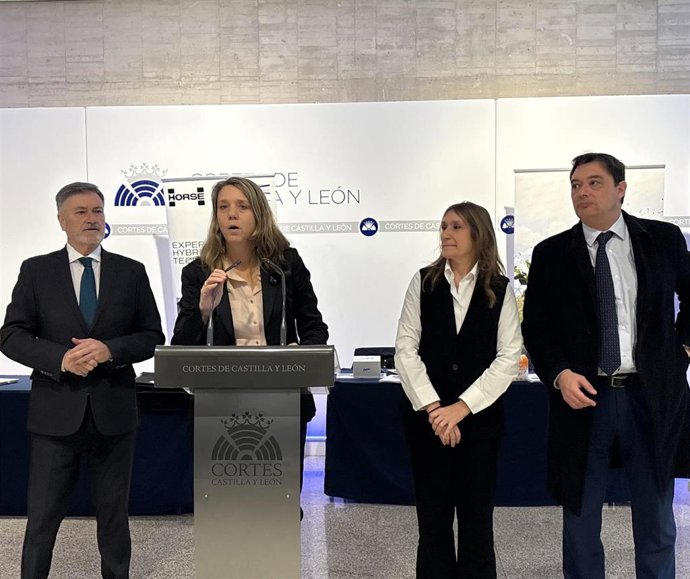 La presidenta de la Confederación Española de Organizaciones de Empresas (CEOE) en Valladolid, Ángela de Miguel