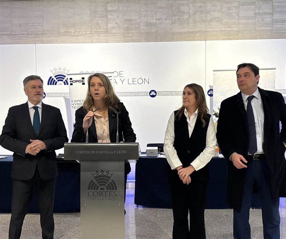 La presidenta de la Confederación Española de Organizaciones de Empresas (CEOE) en Valladolid, Ángela de Miguel