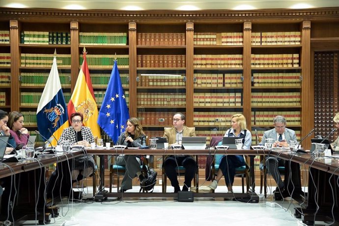 La consejera Candelaria Delgado en una comisión parlamentaria