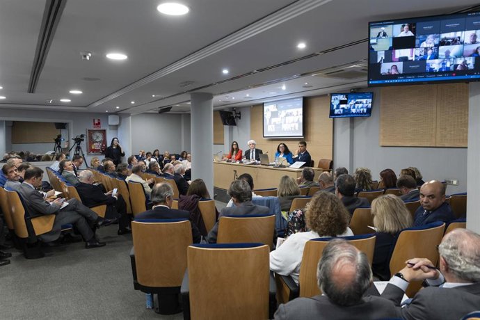 Archivo - Pleno de la Abogacía Española