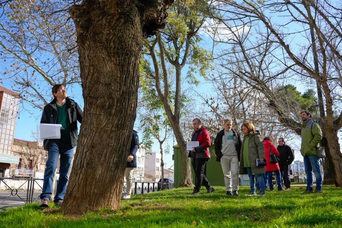 Visita de responsables del Ayuntamiento de Mérida junto a miembros de Adenex al parque López de Ayala para comprobar el estado de los árboles.