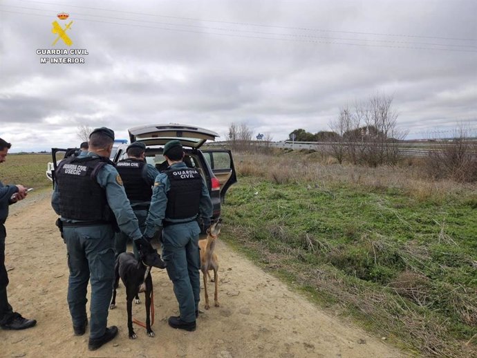 Interceptados en Salamanca tres cazadores furtivos que huían desde Muñosancho (Ávila)