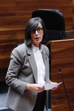 Archivo - La ex consejera de Transición Ecológica, Nieves Roqueñí, nueva presidenta de la Autoridad Portuaria de Gijón.