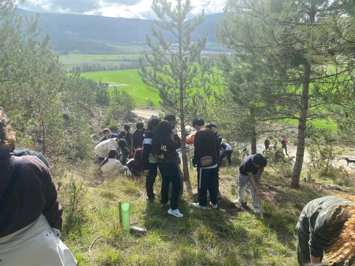 Plantación de 25 árboles por el 25 aniversario de la Asociación SEI.