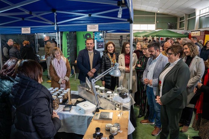 La Diputación de Castellón reitera su apoyo a la XXI Mostra de la Trufa Negra de l'Alt Maestrat