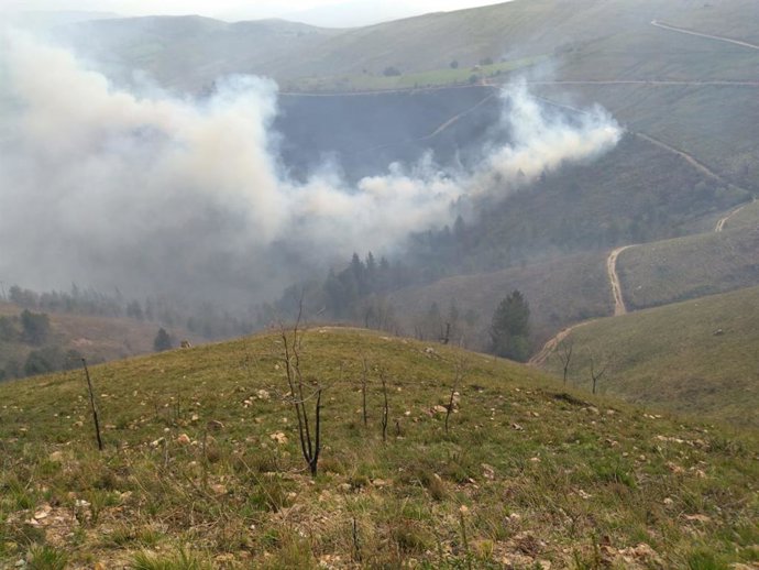 Archivo - Incendio forestal en Cantabria.-ARCHIVO