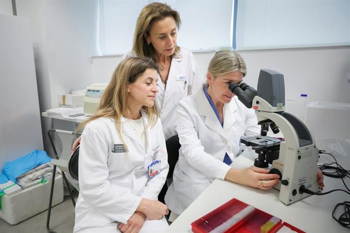 La Fe, el IIS La Fe y el IVI investigan un biomaterial para fertilidad a partir de tejido ovárico descelularizado