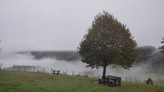 Archivo - Aviso amarillo por niebla este fin de semana en la Ribera